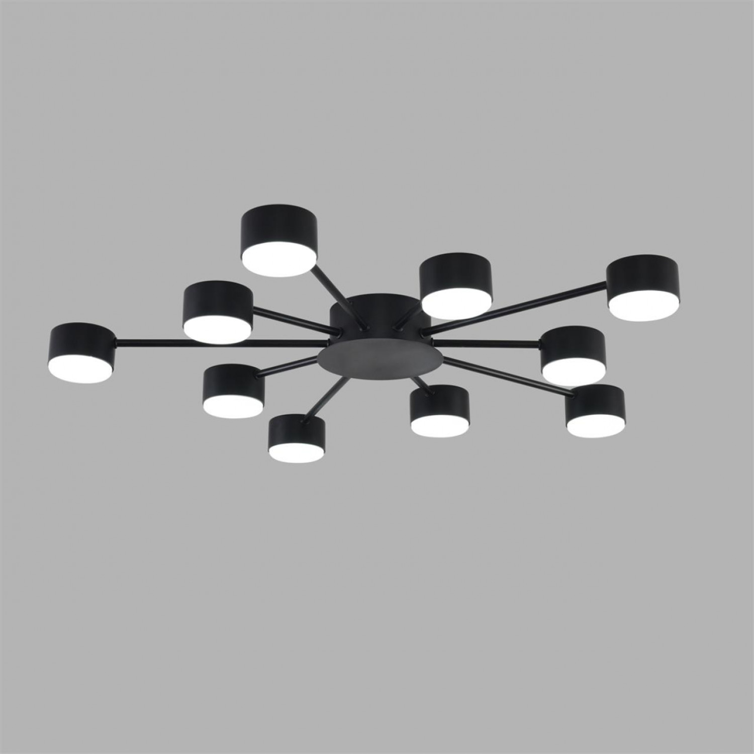 Люстра Lumion 8344/10C TORINA
