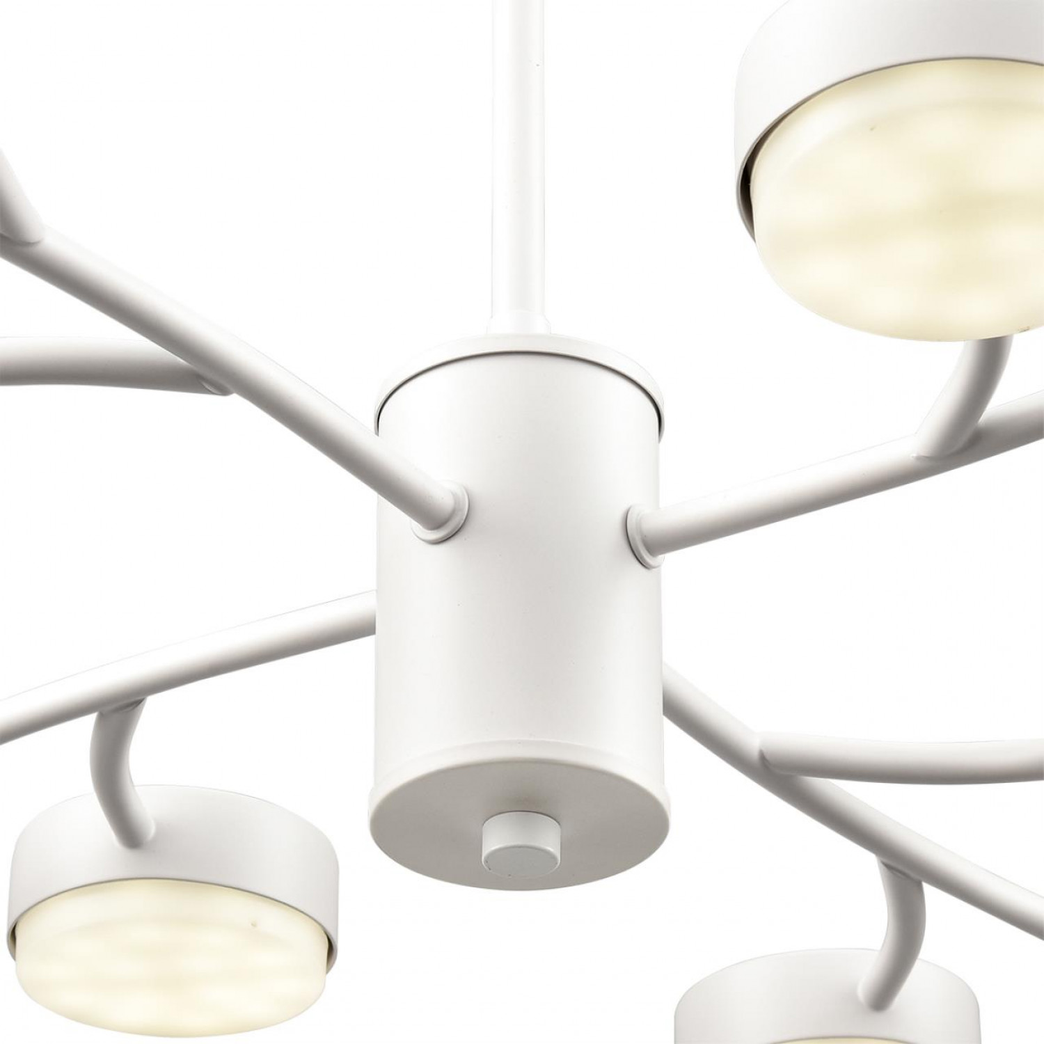 Люстра Lumion 8265/12 TORINA