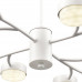 Люстра Lumion 8265/12 TORINA