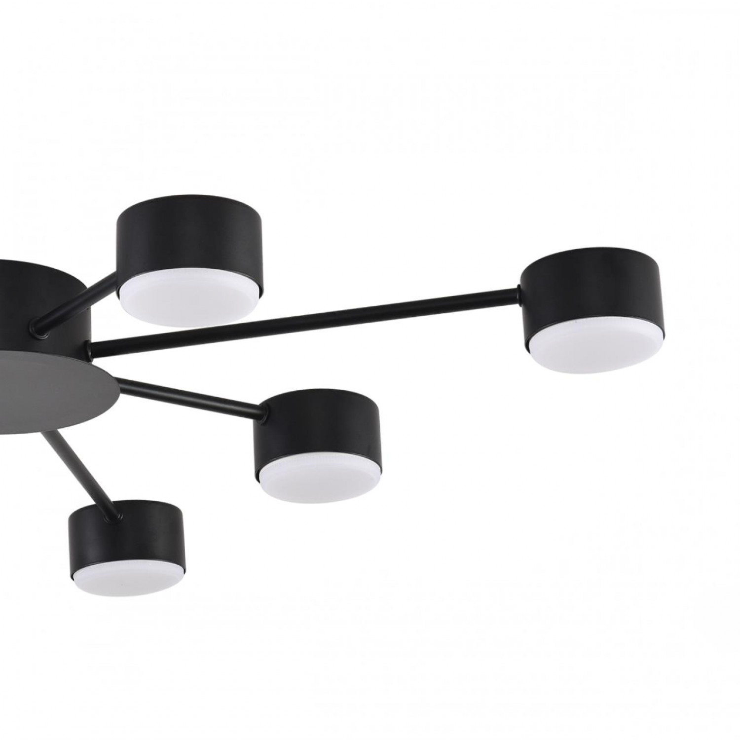Люстра Lumion 8344/8C TORINA