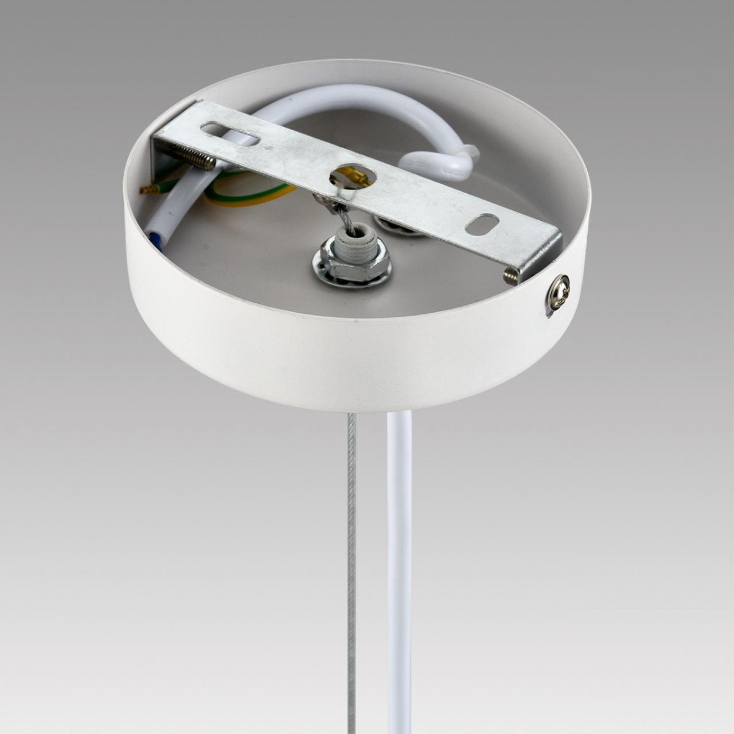 Подвес Lumion 8265/5 TORINA