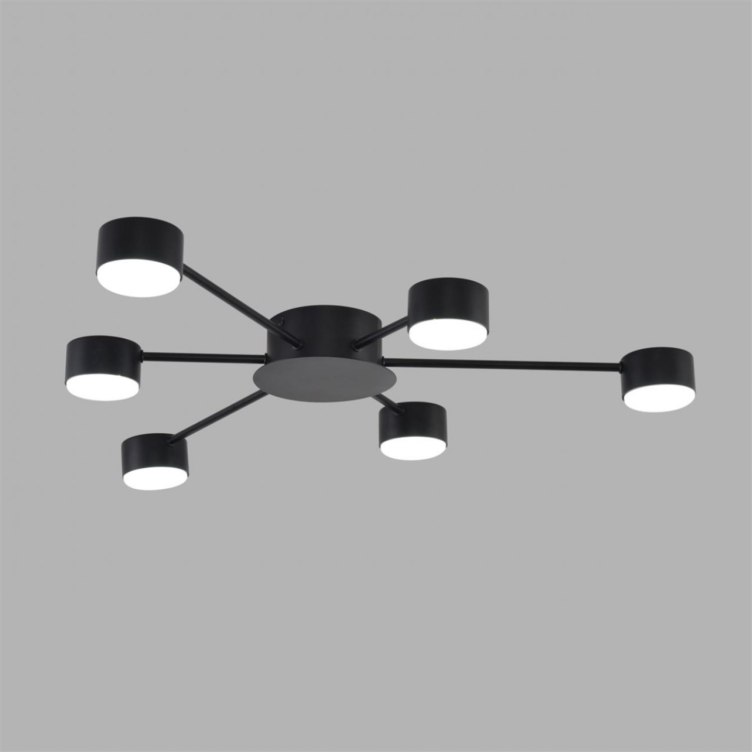 Люстра Lumion 8344/6C TORINA