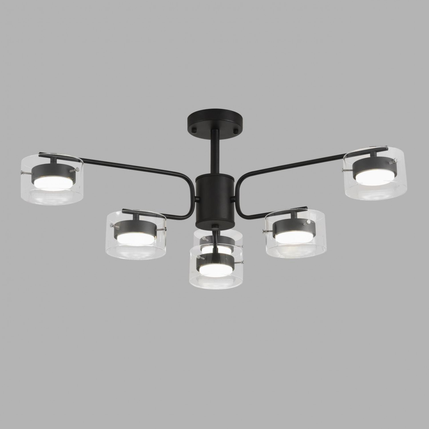 Светильник потолочный Lumion 8349/6C NATALINA