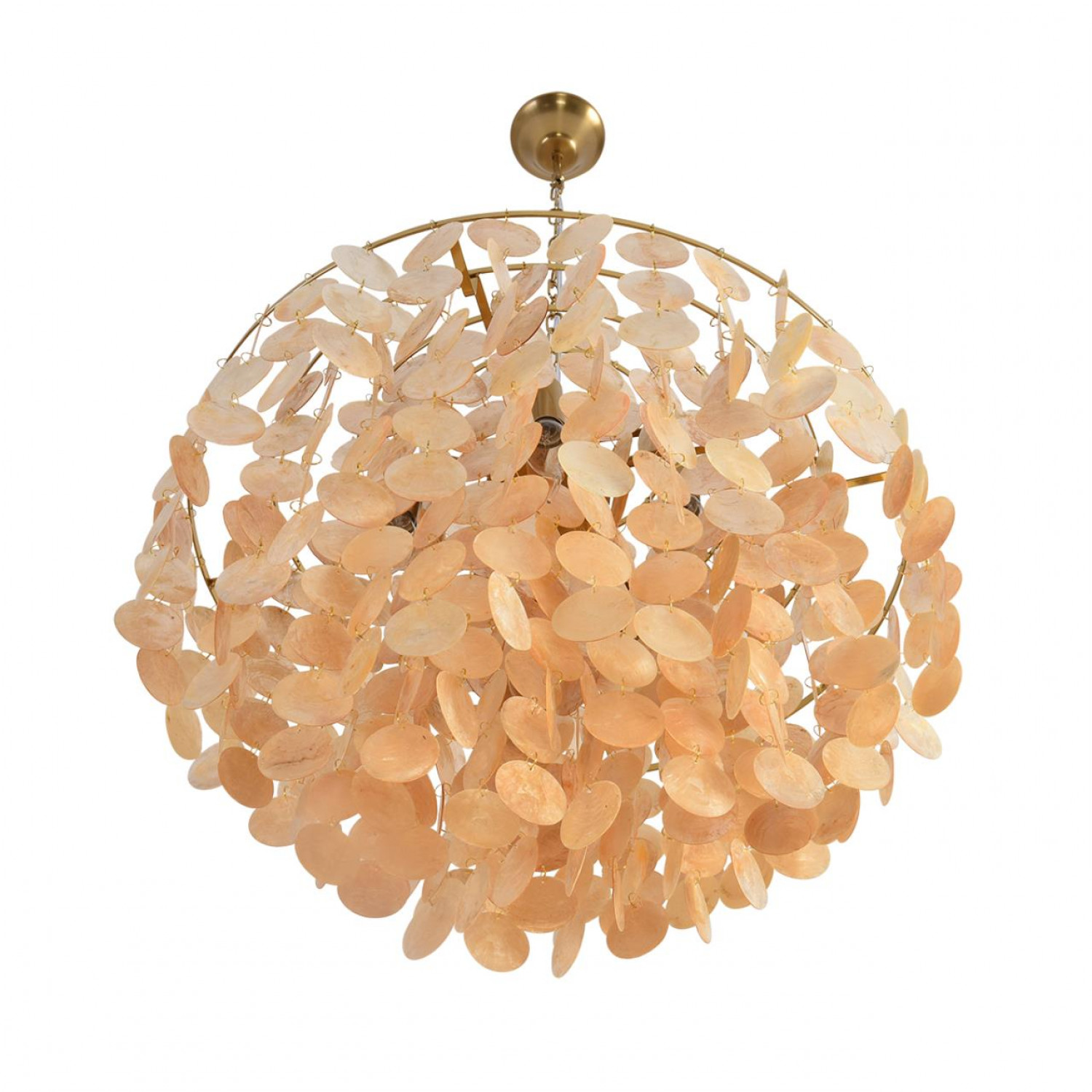 Люстра Lumion 8386/6 SHELLA