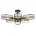 Светильник потолочный Lumion 8153/6C VIVANA