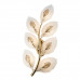 Настенный светильник MODELUX MS.250.07 GD