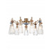 Люстра Odeon Light 5414/9 TERRA