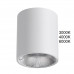 Потолочный светильник Odeon Light 7139/12CL BRIM