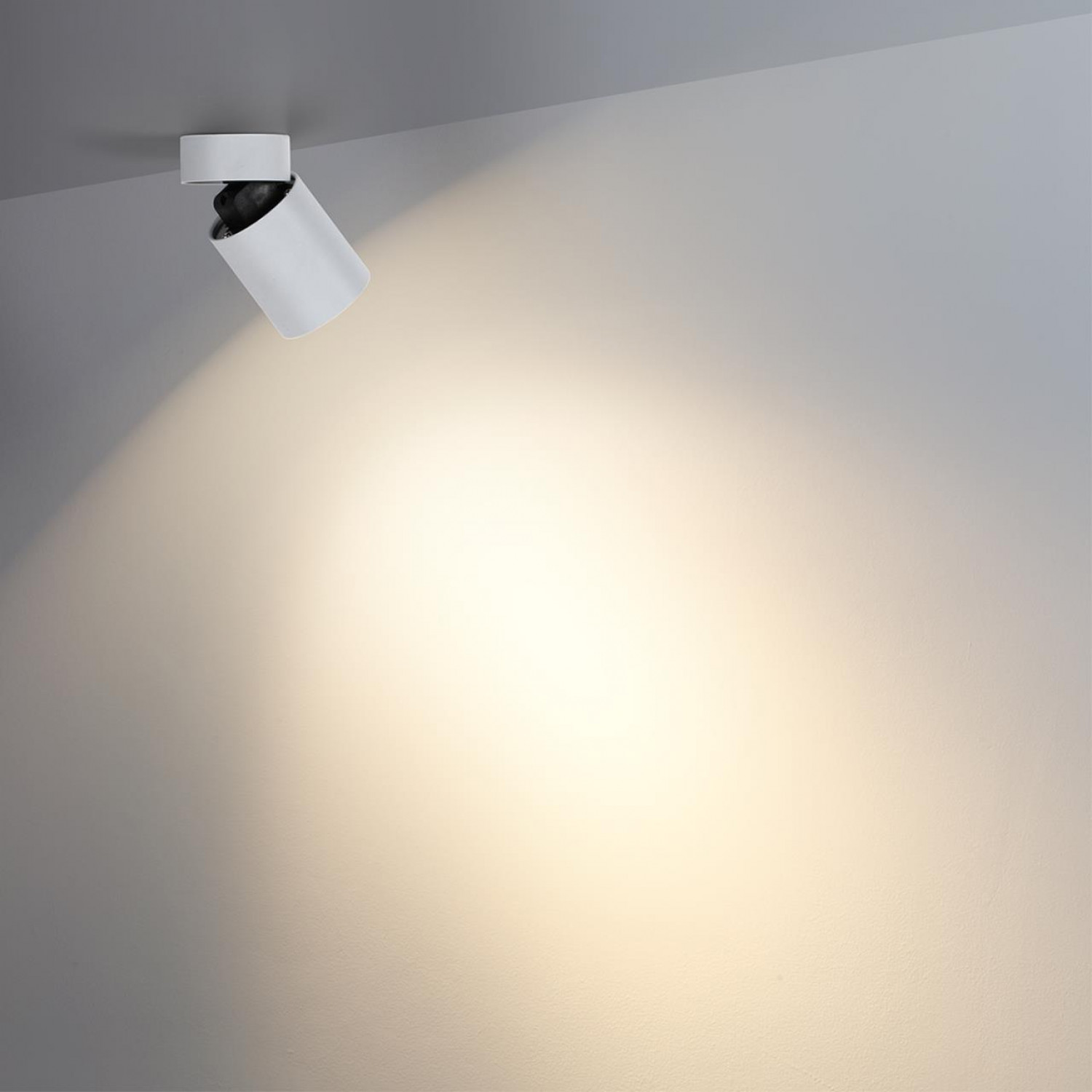 Потолочный светильник Odeon Light 7133/7CL TURNO