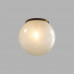 Потолочный светильник Odeon Light 7109/1CA MAGIA
