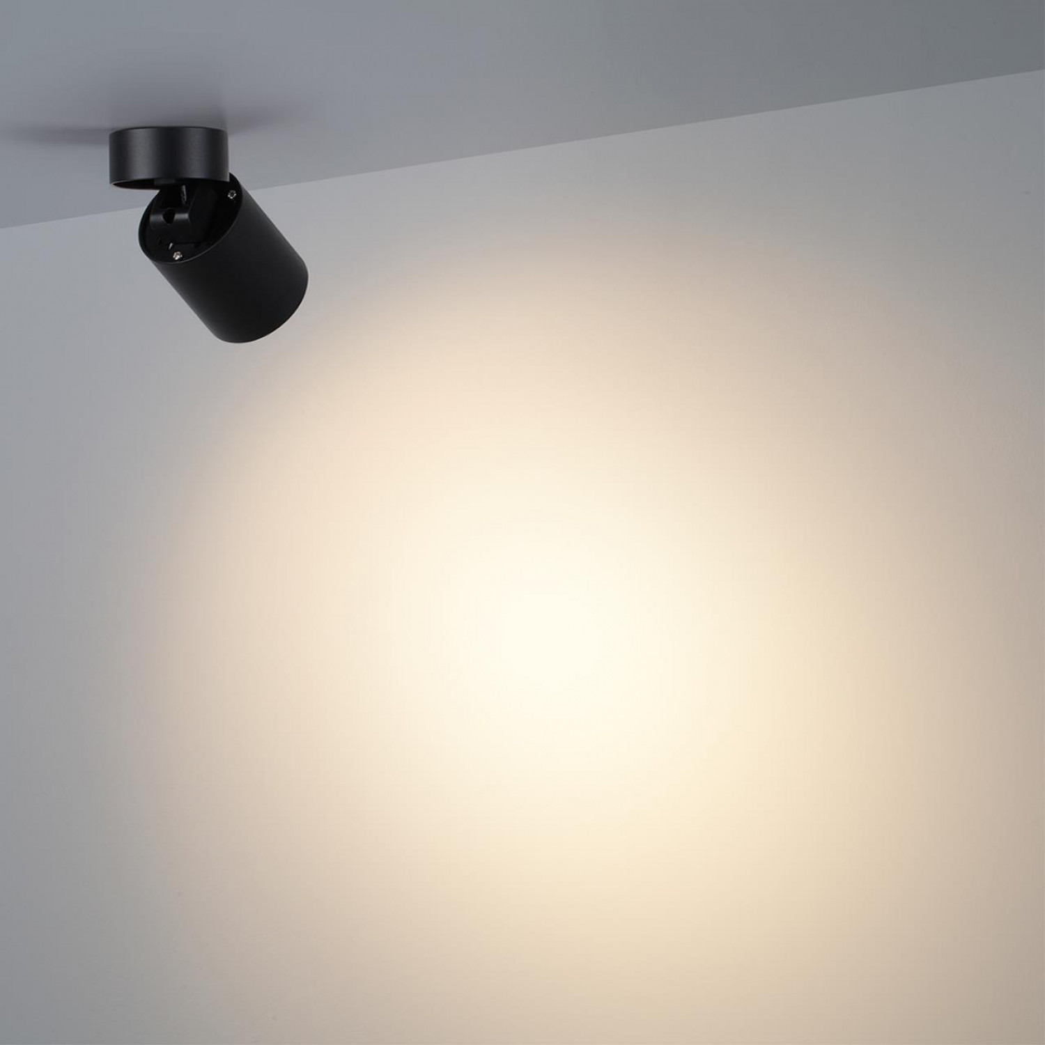 Потолочный светильник Odeon Light 7132/7CL TURNO