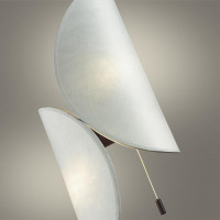 Настенный светильник Odeon Light 7067/2W SILK