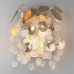 Бра Odeon Light 5104/2W COINS