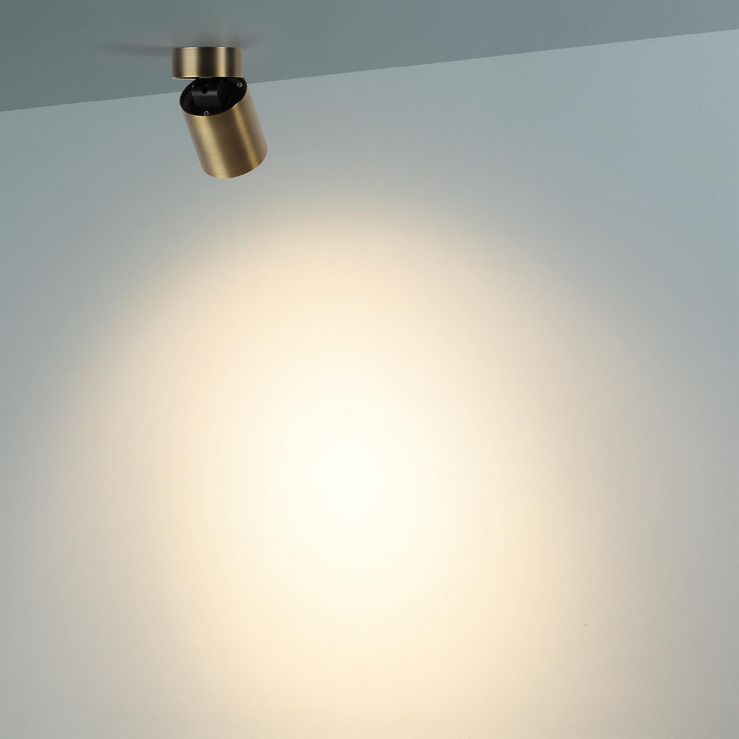 Потолочный светильник Odeon Light 7131/7CL TURNO