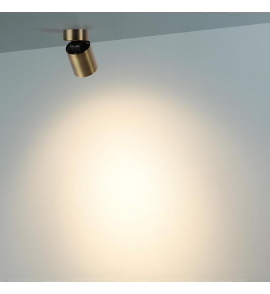 Потолочный светильник Odeon Light 7131/7CL TURNO