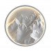 Настенный светильник Odeon Light 7168/20WL MONTANA