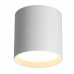 Потолочный светильник Odeon Light 7130/8CL OBEN