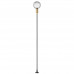 Уличный светильник Odeon Light 7121/2GLA DANDE