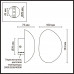 Настенный светильник Odeon Light 6684/5WL MARBELLA
