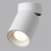 Потолочный светильник Odeon Light 7133/7CL TURNO