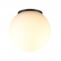Потолочный светильник Odeon Light 7124/1C VIVA