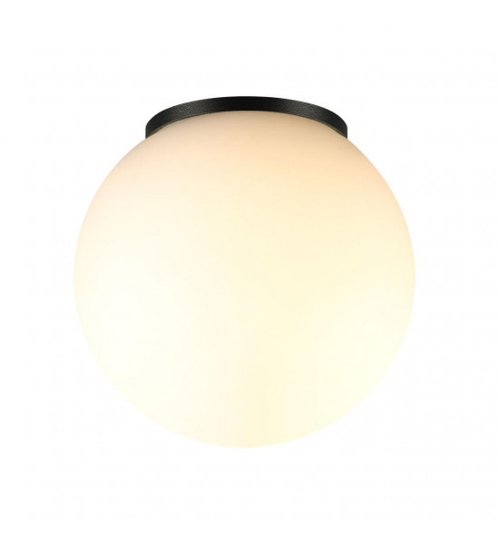 Потолочный светильник Odeon Light 7124/1C VIVA