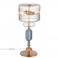 Настольная лампа Odeon Light 5414/2TA TERRA